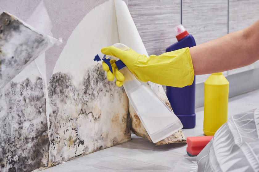 How Mold Affects your health? A complete guide
