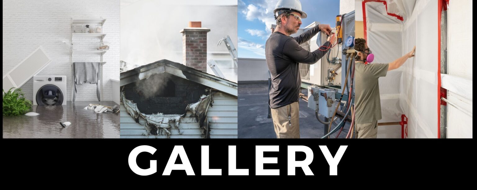 Restoreez offers mold removal services.
